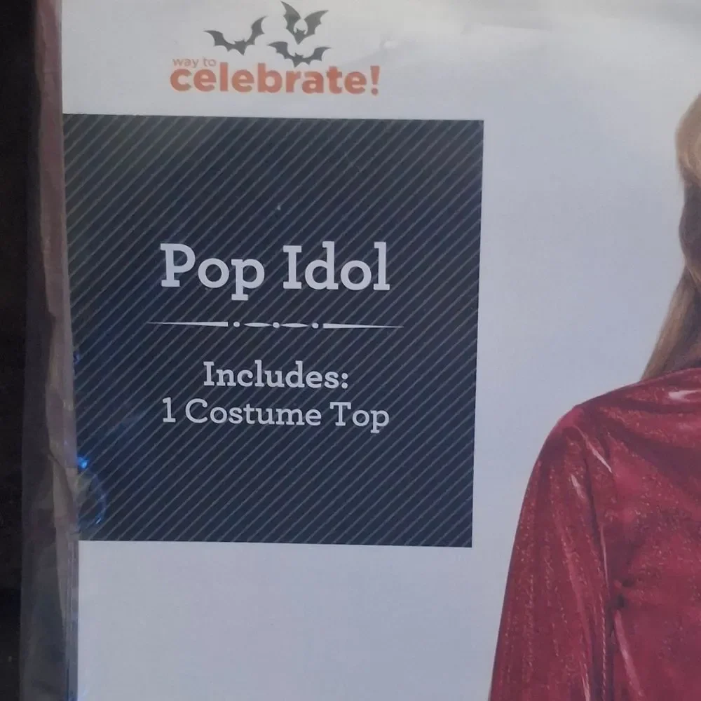 Pop Idol Costume (Taylor Swift)